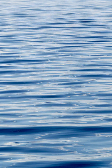 A View of the Sea